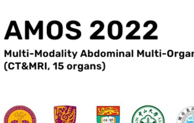 MICCAI2022多模态腹部分割国际挑战赛（AMOS22）